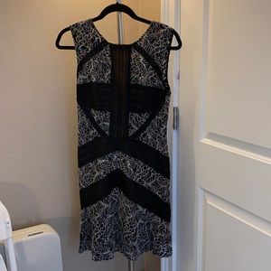 BCBG Dress